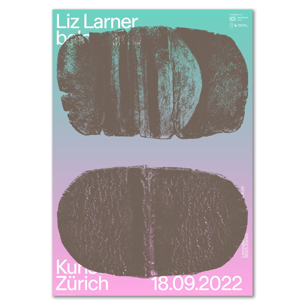 Liz Larner Poster / 대형 포스터 / 89.5 cm x 128 cm